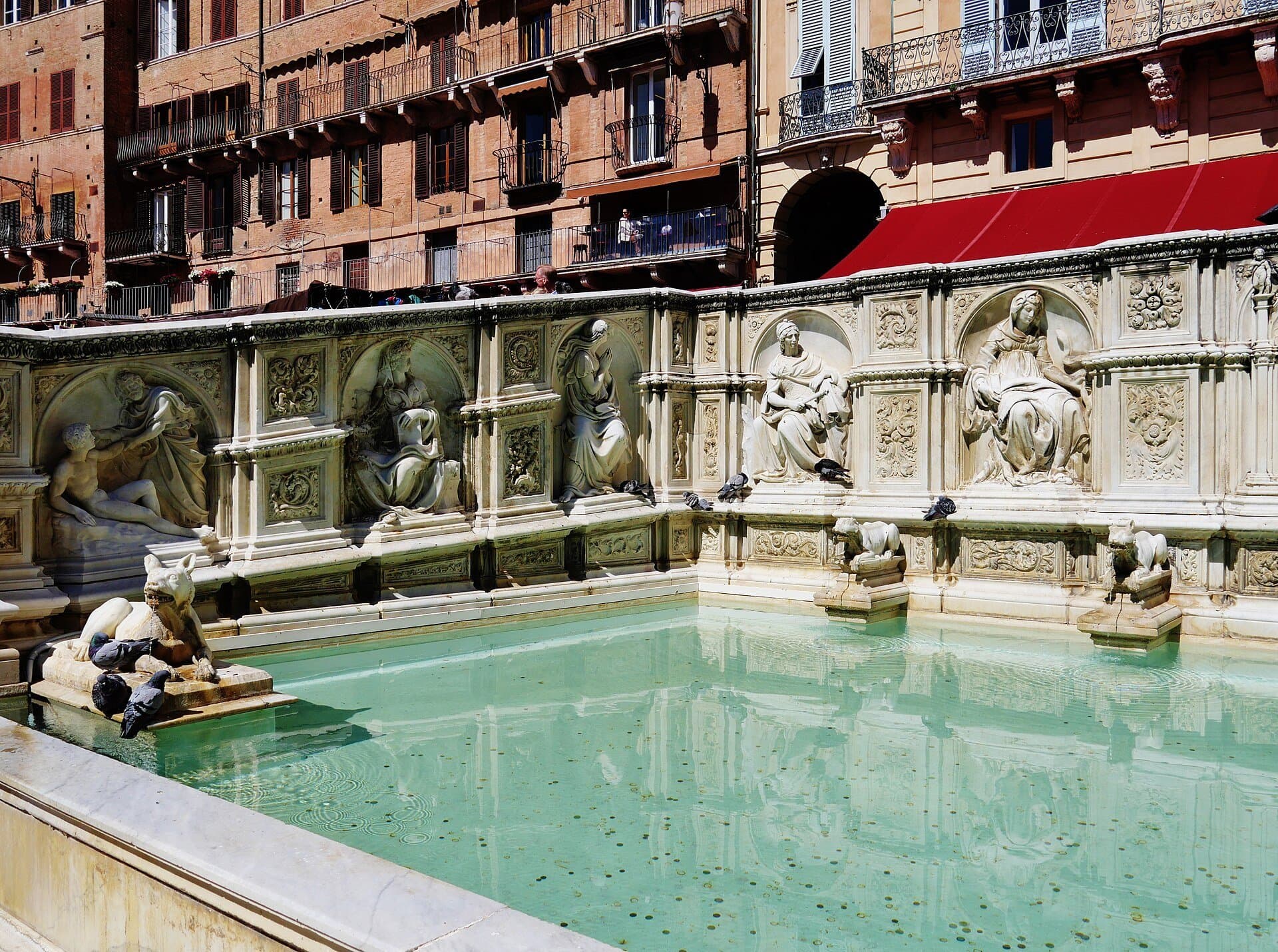 Fonte Gaia