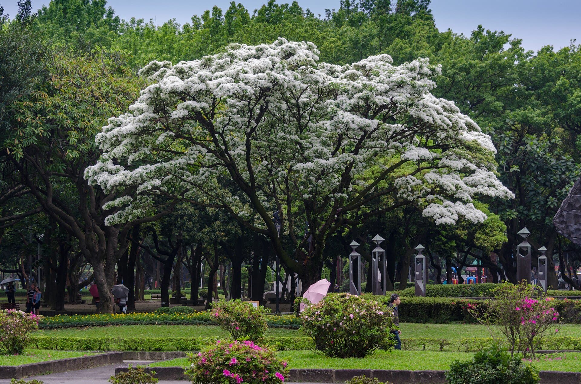 二二八和平紀念公園